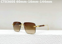 Cartier Sunglasses AAA (342)