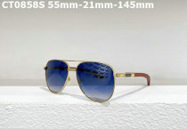 Cartier Sunglasses AAA (115)