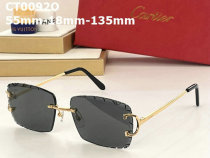 Cartier Sunglasses AAA (38)