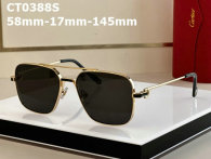 Cartier Sunglasses AAA (706)