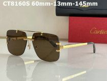 Cartier Sunglasses AAA (87)