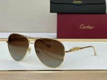 Cartier Sunglasses AAA (453)