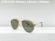 Cartier Sunglasses AAA (460)