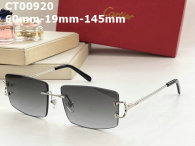 Cartier Sunglasses AAA (88)