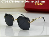 Cartier Sunglasses AAA (630)