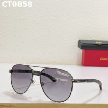 Cartier Sunglasses AAA (357)