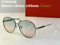 Cartier Sunglasses AAA (635)