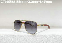 Cartier Sunglasses AAA (376)