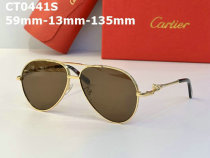 Cartier Sunglasses AAA (666)
