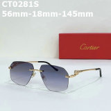 Cartier Sunglasses AAA (265)