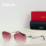 Cartier Sunglasses AAA (83)