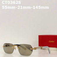 Cartier Plain glasses AAA (26)