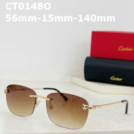 Cartier Plain glasses AAA (110)