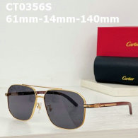 Cartier Sunglasses AAA (675)
