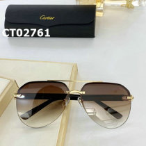 Cartier Sunglasses AAA (481)