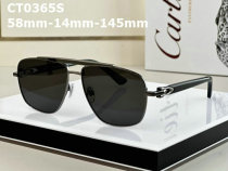 Cartier Sunglasses AAA (304)