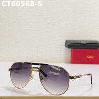 Cartier Sunglasses AAA (762)