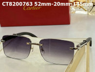 Cartier Sunglasses AAA (687)