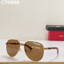 Cartier Sunglasses AAA (351)