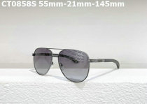 Cartier Sunglasses AAA (336)