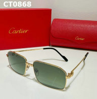 Cartier Sunglasses AAA (711)