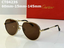 Cartier Sunglasses AAA (572)