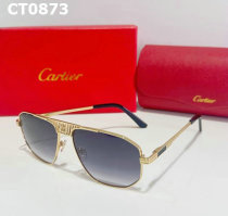 Cartier Sunglasses AAA (102)