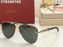 Cartier Sunglasses AAA (226)