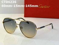 Cartier Sunglasses AAA (113)