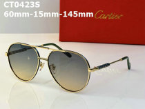 Cartier Sunglasses AAA (113)