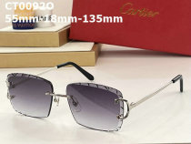 Cartier Sunglasses AAA (65)