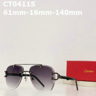 Cartier Sunglasses AAA (763)