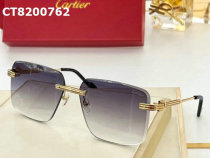 Cartier Sunglasses AAA (301)