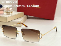 Cartier Sunglasses AAA (424)