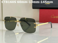 Cartier Sunglasses AAA (776)