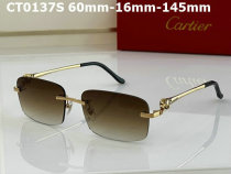 Cartier Sunglasses AAA (109)