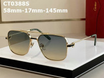 Cartier Sunglasses AAA (317)