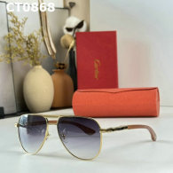 Cartier Sunglasses AAA (670)