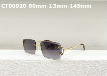 Cartier Sunglasses AAA (300)