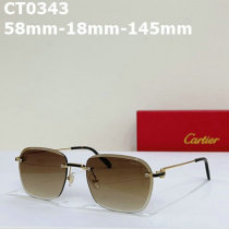 Cartier Sunglasses AAA (164)
