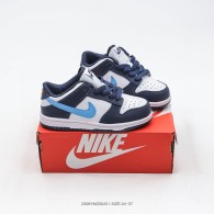 Nike SB Dunk Kid Shoes (41)
