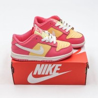 Nike SB Dunk Kid Shoes (37)
