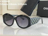 CHNEL Sunglasses AAA (499)