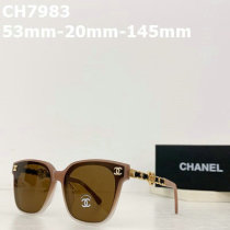 CHNEL Sunglasses AAA (434)