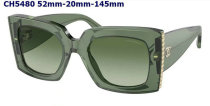 CHNEL Sunglasses AAA (369)