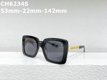 CHNEL Sunglasses AAA (521)