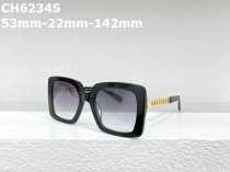 CHNEL Sunglasses AAA (26)