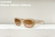 CHNEL Sunglasses AAA (54)