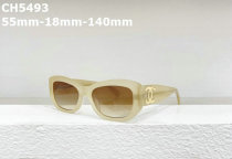 CHNEL Sunglasses AAA (531)