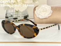 CHNEL Sunglasses AAA (304)